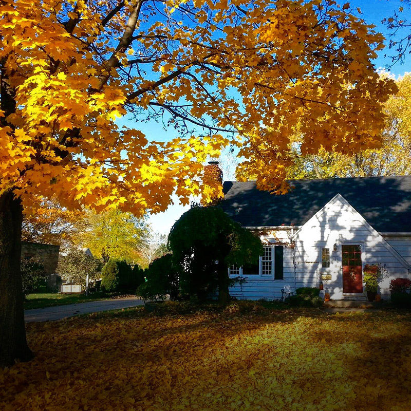 Our properties are fully managed with lawncare & snow removal services